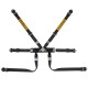 Sabelt SteelFormula 2 pull up 六點式安全帶 Sabelt SteelFormula 2 pull up 六點式安全帶