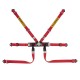 Sabelt SteelFormula 2 pull up 六點式安全帶 Sabelt SteelFormula 2 pull up 六點式安全帶